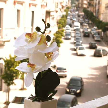 Dimore Demetra Daire Canosa di Puglia Dış mekan fotoğraf