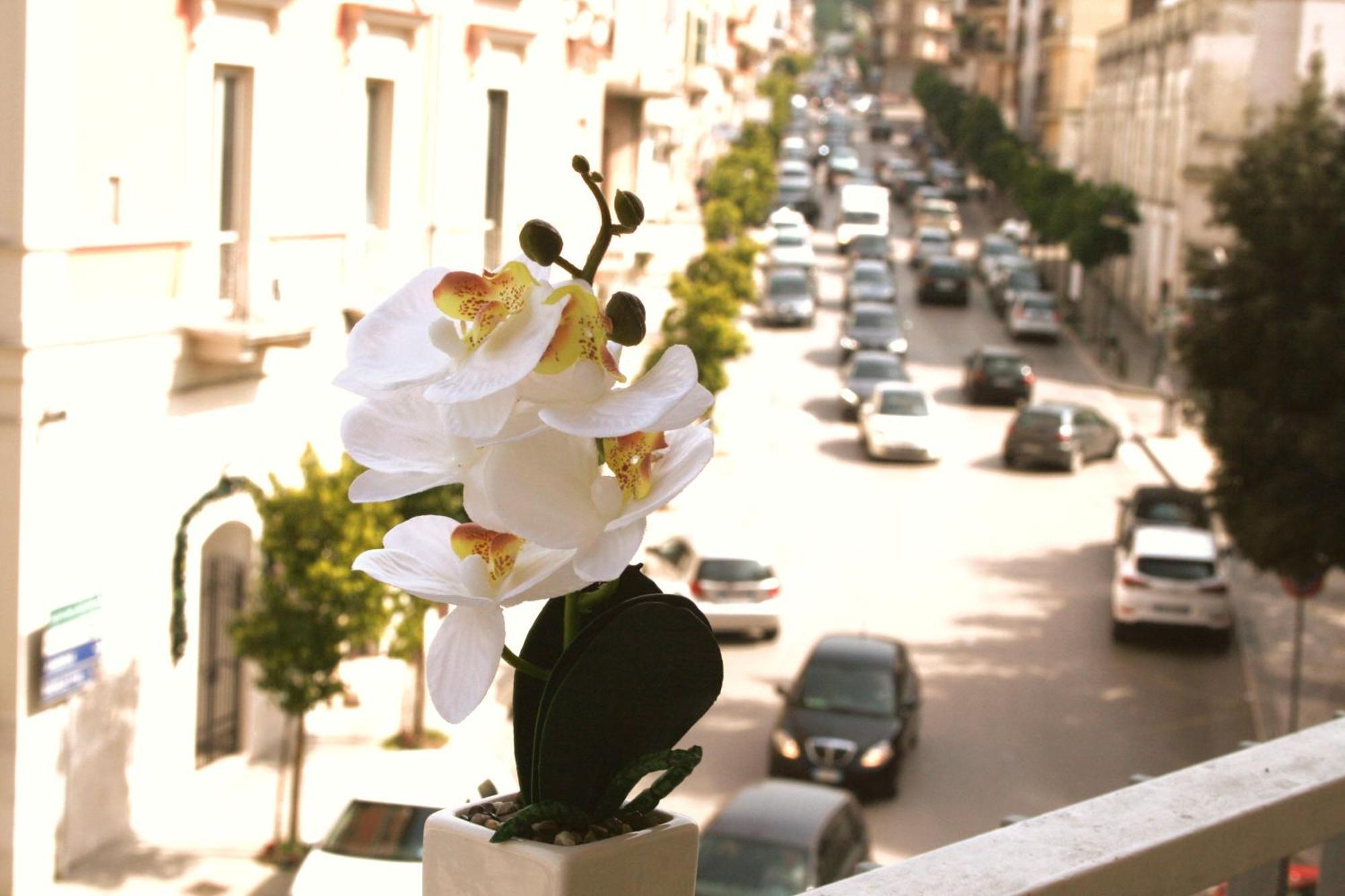 Dimore Demetra Daire Canosa di Puglia Dış mekan fotoğraf